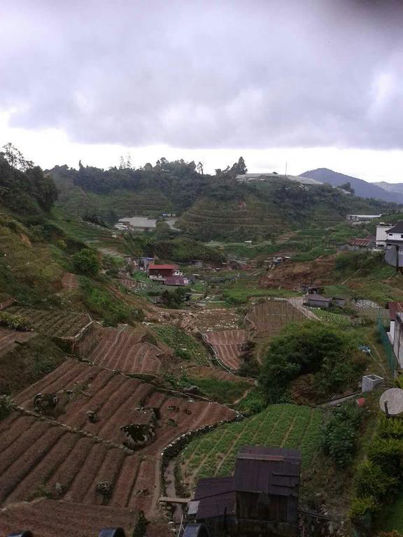 Rose Apartment Kea Farm Cameron Highlands Buitenkant foto